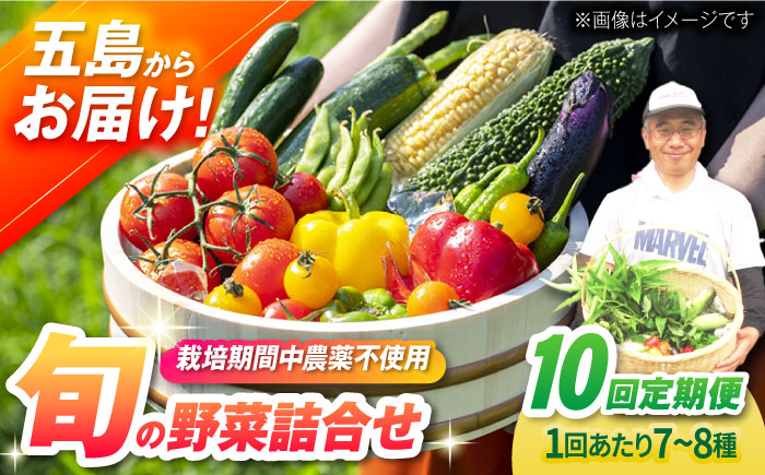 PDS010 【全10回定期便】旬の野菜詰め合わせ
