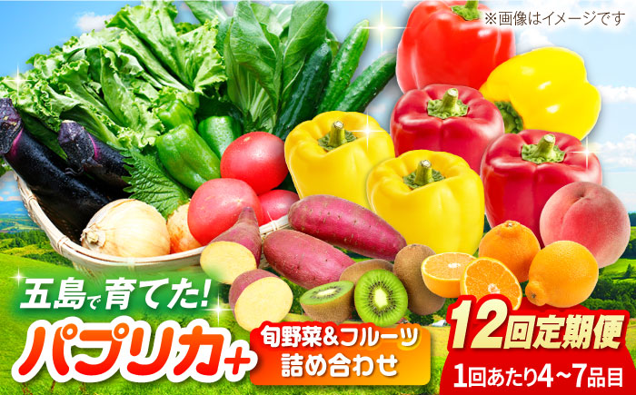 PCP014 12回定期フルーツ野菜詰め合わせ