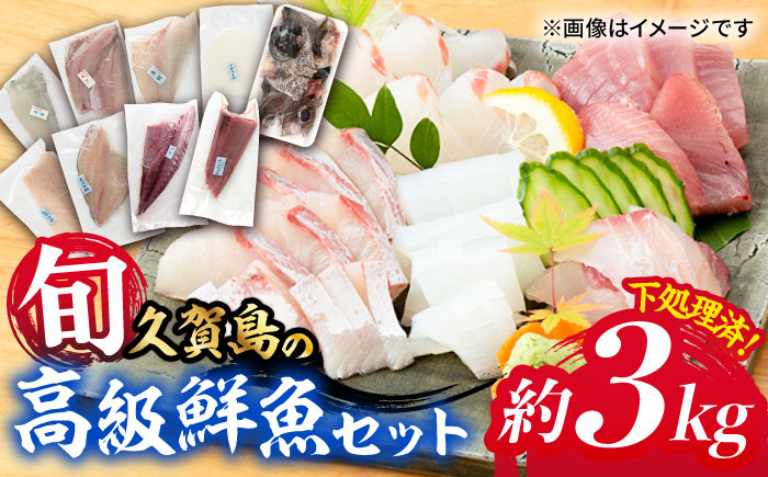 久賀島の高級鮮魚セット 五島市 / マルセイ水産 [PBT001]